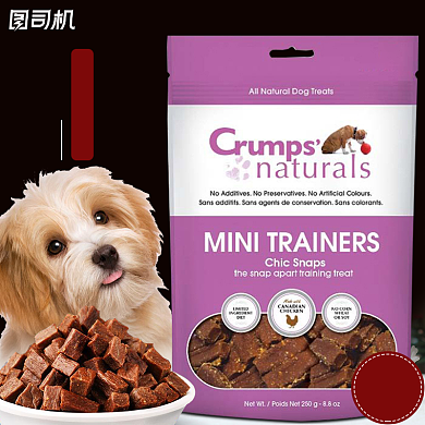 促销风格宠物狗猫零食狗粮猫粮主图背景