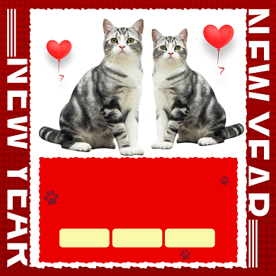 2021新年焕新宠物纯种猫咪主图直通车背景