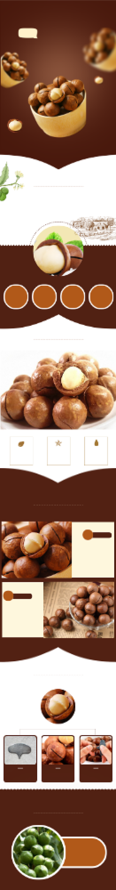 美味零食夏威夷果坚果详情页背景