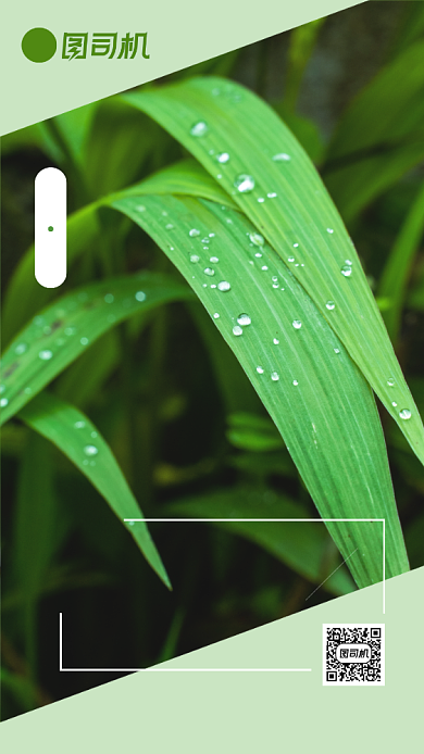 你好早安小清新每日一签日签月签背景