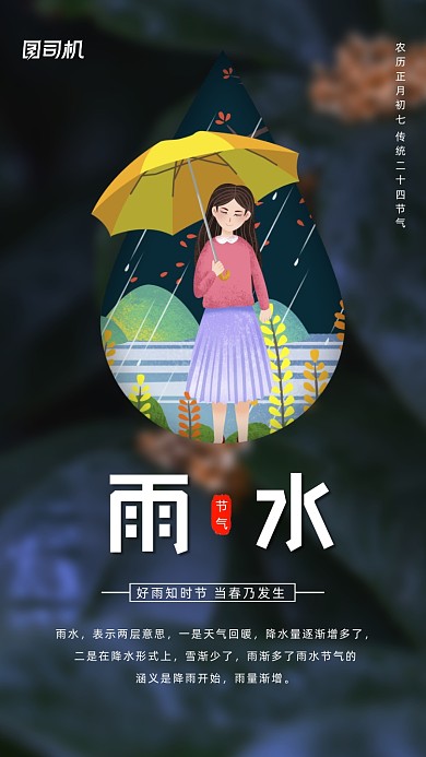 雨水节气卡通插画节气手机海报