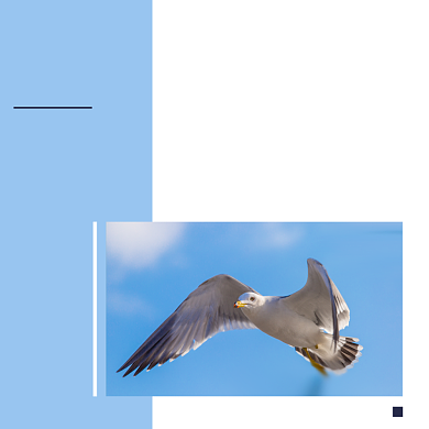 学着主宰自己的生活小清新配图背景