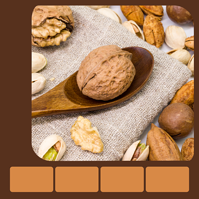 山核桃食品淘宝主图直通车模板背景