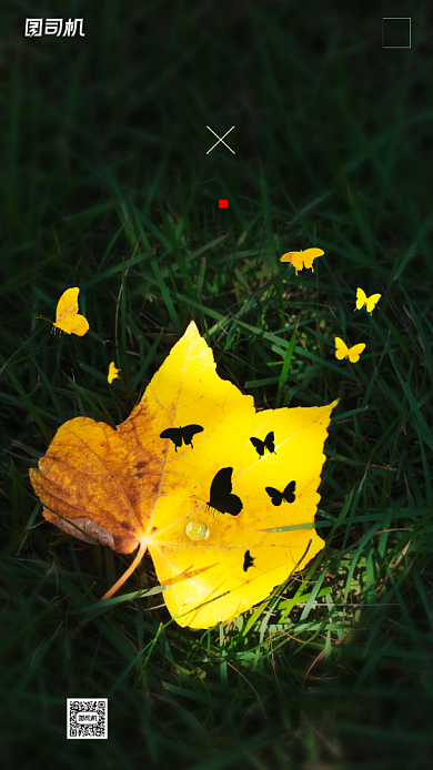 传统节气白露手机海报背景