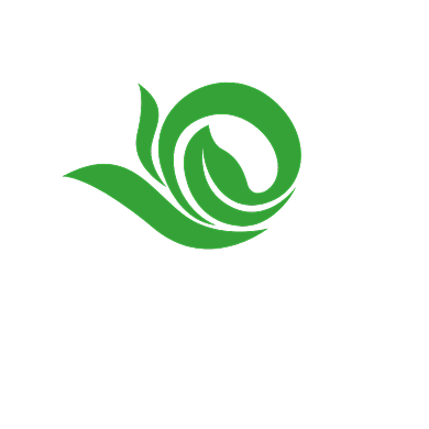 树叶绿色健康标志LOGO背景