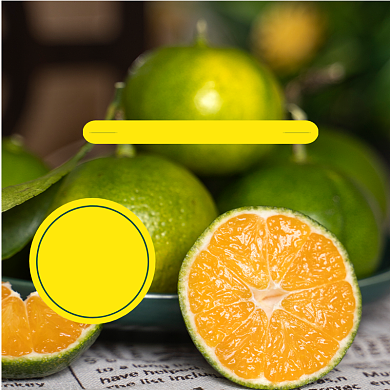 新鲜水果橘子主图直通车背景