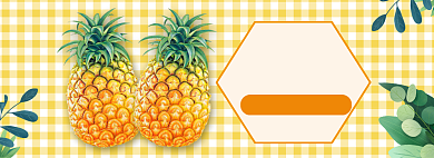 秋季水果菠萝促销banner背景