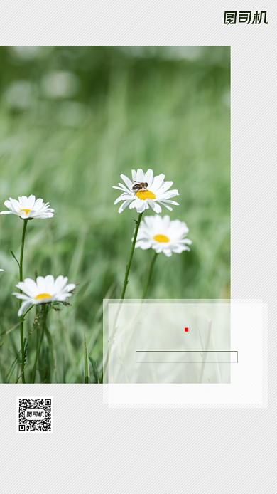 励志早安签到手机海报背景