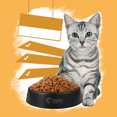 淘宝狗粮猫粮主图宠物零食模板背景