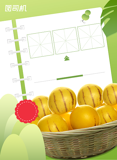 人参果长寿果新鲜黄色水果印刷海报背景