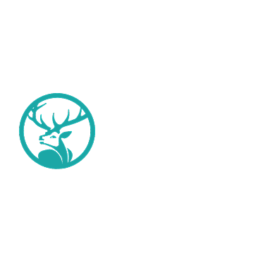 绿色简约教育logo背景