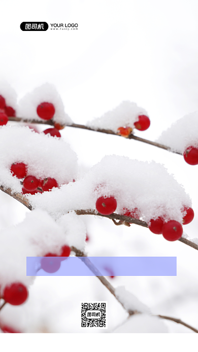 白色简约冬季旅行摄影手机海报背景