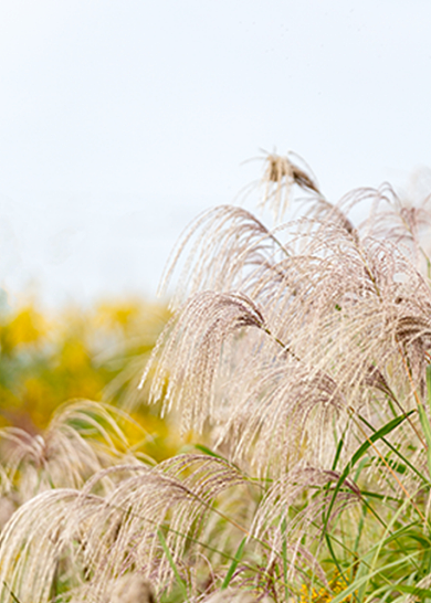 稻草背景墙卧室装饰画背景