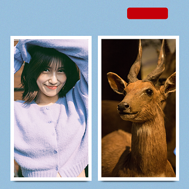 明信片免费定制主图背景