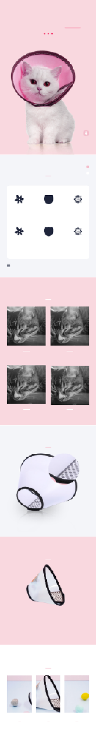 伊丽莎白圈保护圈宠物鲜花详情页背景