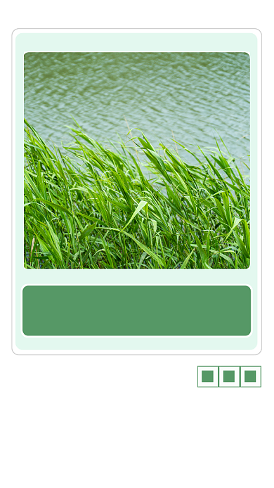 绿色文艺清新暖冬絮语文章配图背景