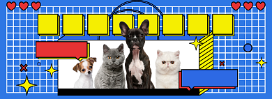 宠物用品采购专场海报背景