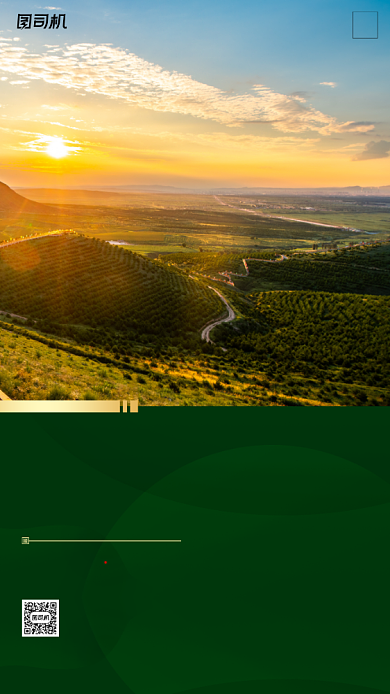 励志早安签到手机海报背景