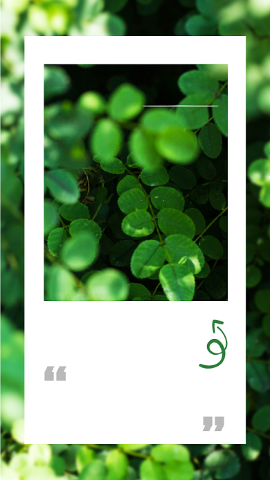 四叶草清新简约日签海报背景