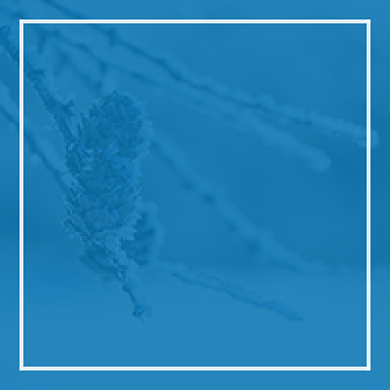 浅蓝色大寒小寒中国节气公众号次图背景