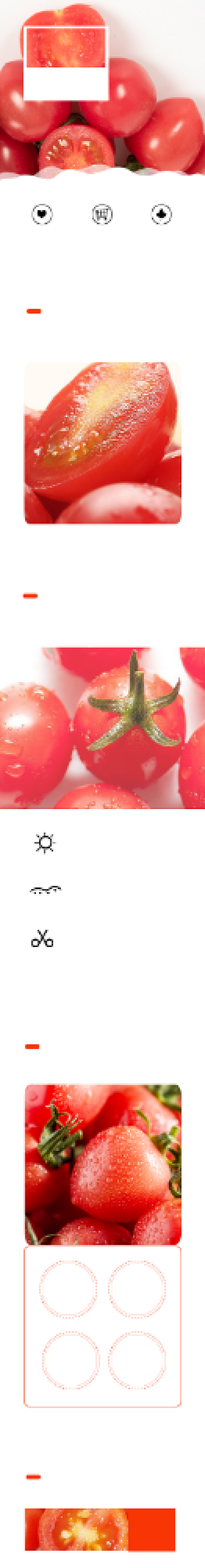 生鲜蔬菜番茄西红柿详情页背景