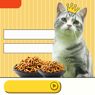 宠物用品猫粮主图直通车背景