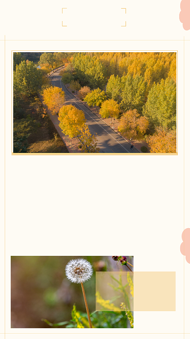 文艺清新雕刻时光文章配图背景