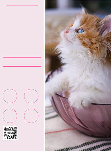 宠物美容简约生活服务印刷海报背景