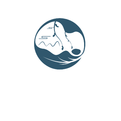 山茶文艺标志logo设计背景