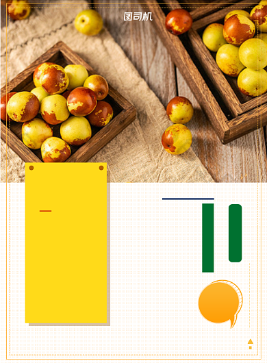 当季水果冬枣黄色印刷海报背景