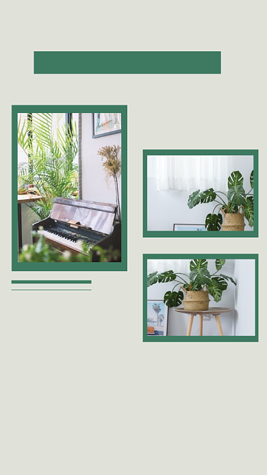 绿色园艺森林植物清新文章配图背景