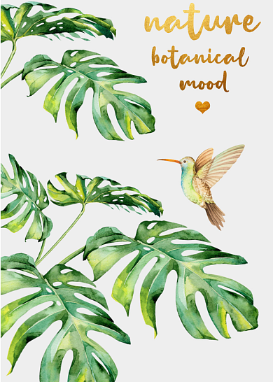 北欧简约小清新手绘热带植物花卉装饰画背景