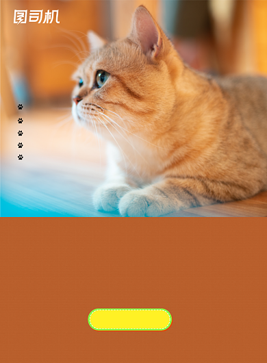 领养橙色简约宠物公益活动宣传海报背景