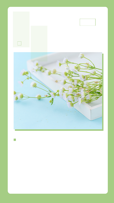 绿色简约早安世界励志文章配图背景