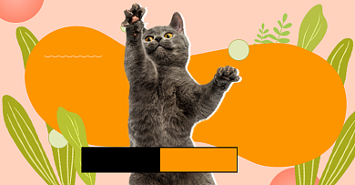 专业萌宠寄养7折购海报背景