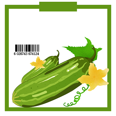 新鲜有机蔬果绿色简约标签不干胶背景