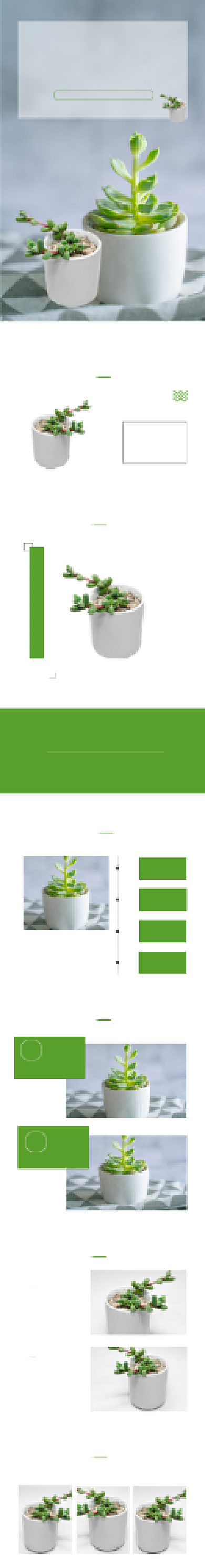 简约绿色多肉盆栽绿植电商淘宝详情页背景
