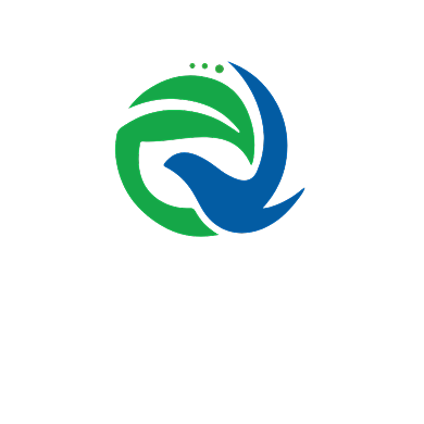 教育鸽子学校LOGO背景