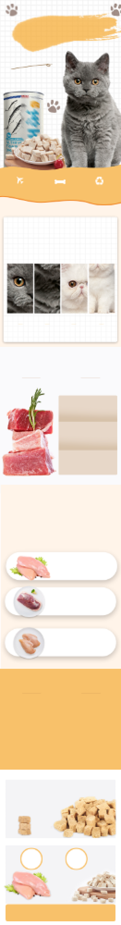 宠物冻干宠物猫粮零食食品详情页背景