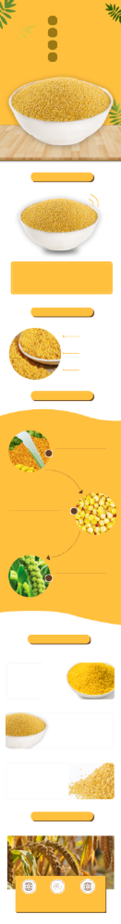 小米电商详情页大气简约时尚黄色杂粮背景