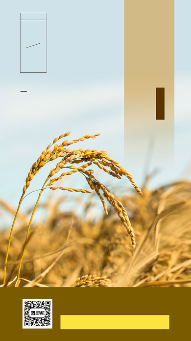 秋分节日手机海报背景