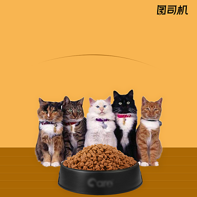 淘宝狗粮猫粮宠物零食主图模板背景
