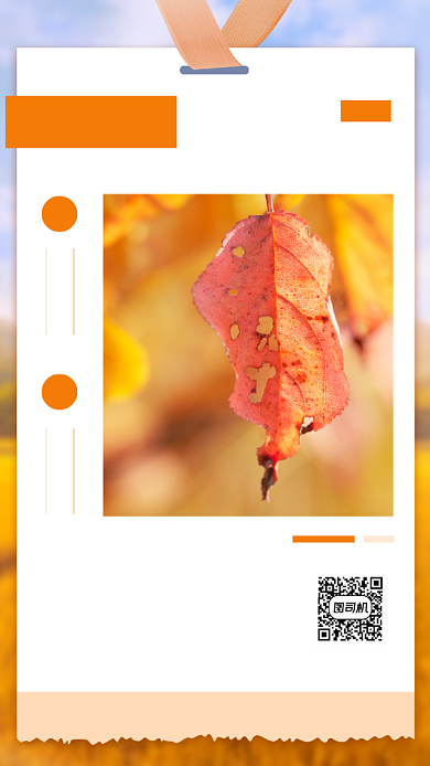 秋分节日日签手机海报背景