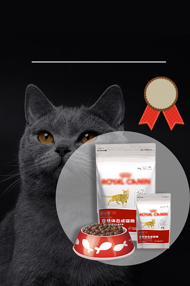 宠物猫粮类淘宝直通车活动主图背景