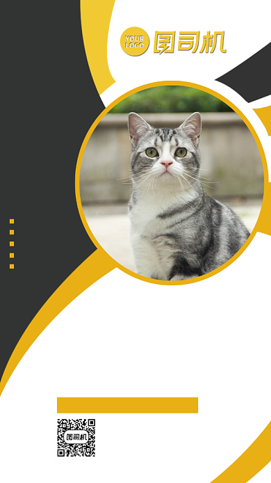 宠物医院黑黄活动宣传手机海报背景