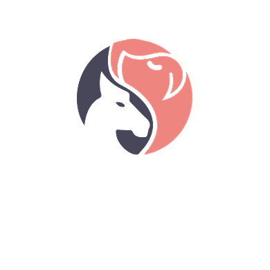 宠物店宠物医院马狗粮LOGO标志VI背景