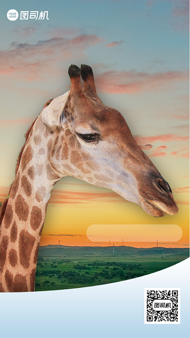 动物园门票转发抽奖实景手机海报背景