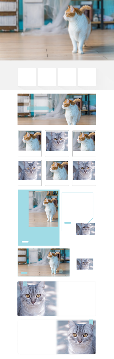 宠物用品猫咪狗粮猫粮电商首页背景