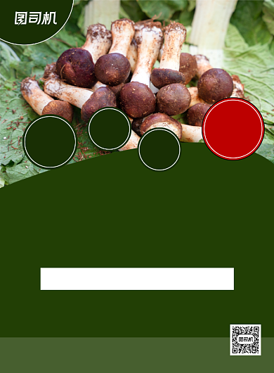 野生菌绿色简约促销宣传印刷海报背景