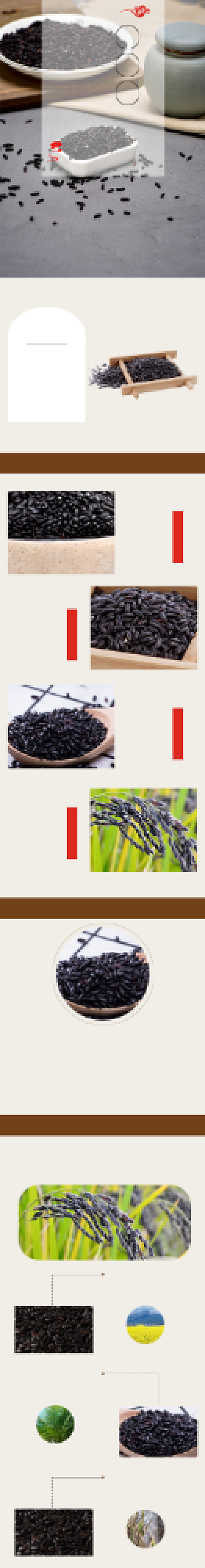 黑米营养健康农副产品粮食详情页背景